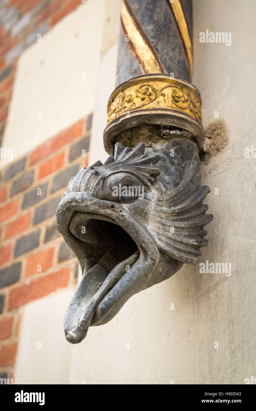 Dolphin ad adornare un tubo discendente del castello "Royal Château de Blois' (Francia centrale). Foto Stock