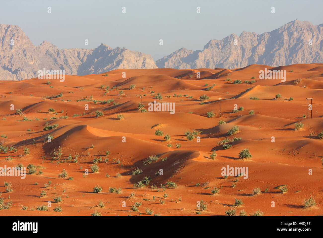 Dune di sabbia rossa, Abu Dhabi Emirato, Emirati Arabi Uniti. Le montagne in distanza sono in Oman. Foto Stock