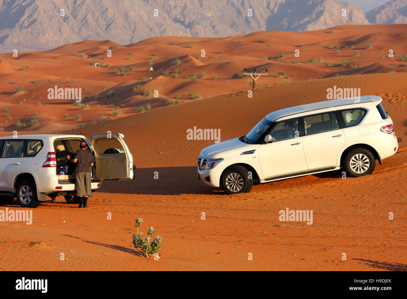 A quattro ruote motrici (Nissan Patrol e Toyota Land Cruiser) nel deserto, Abu Dhabi Emirato, UAE. Le montagne in distanza sono in Oman. Foto Stock