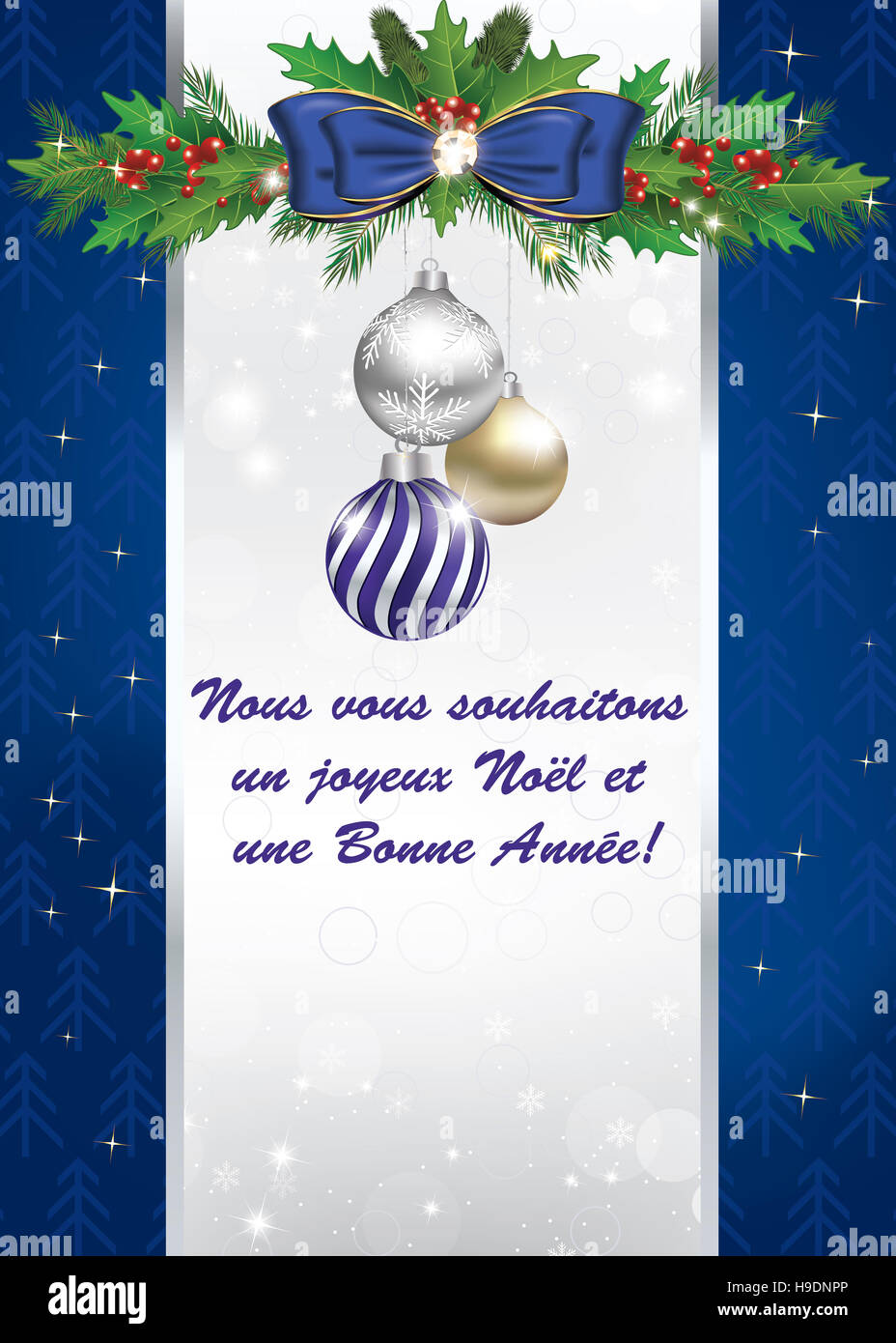 Nous vous souhaitons onu Joyeux Noël et une Bonne Année - carte de voeux pour les vacances d'hiver Foto Stock