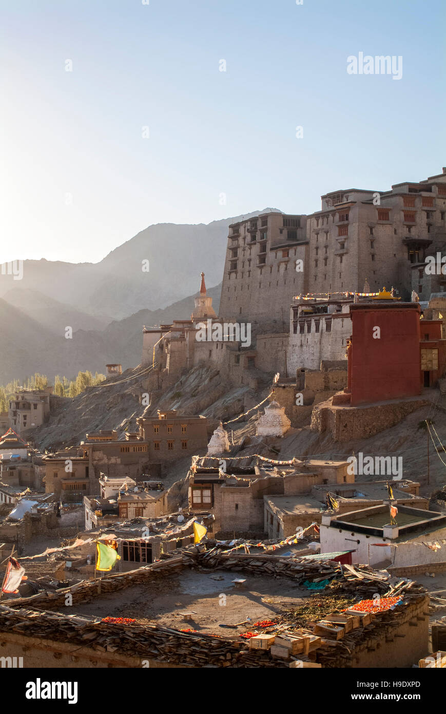 Villaggi di pietra scorrimento fino a un lato di montagna nella città vecchia di Leh, capitale del Ladakh, un ex regno tibetano. Foto Stock