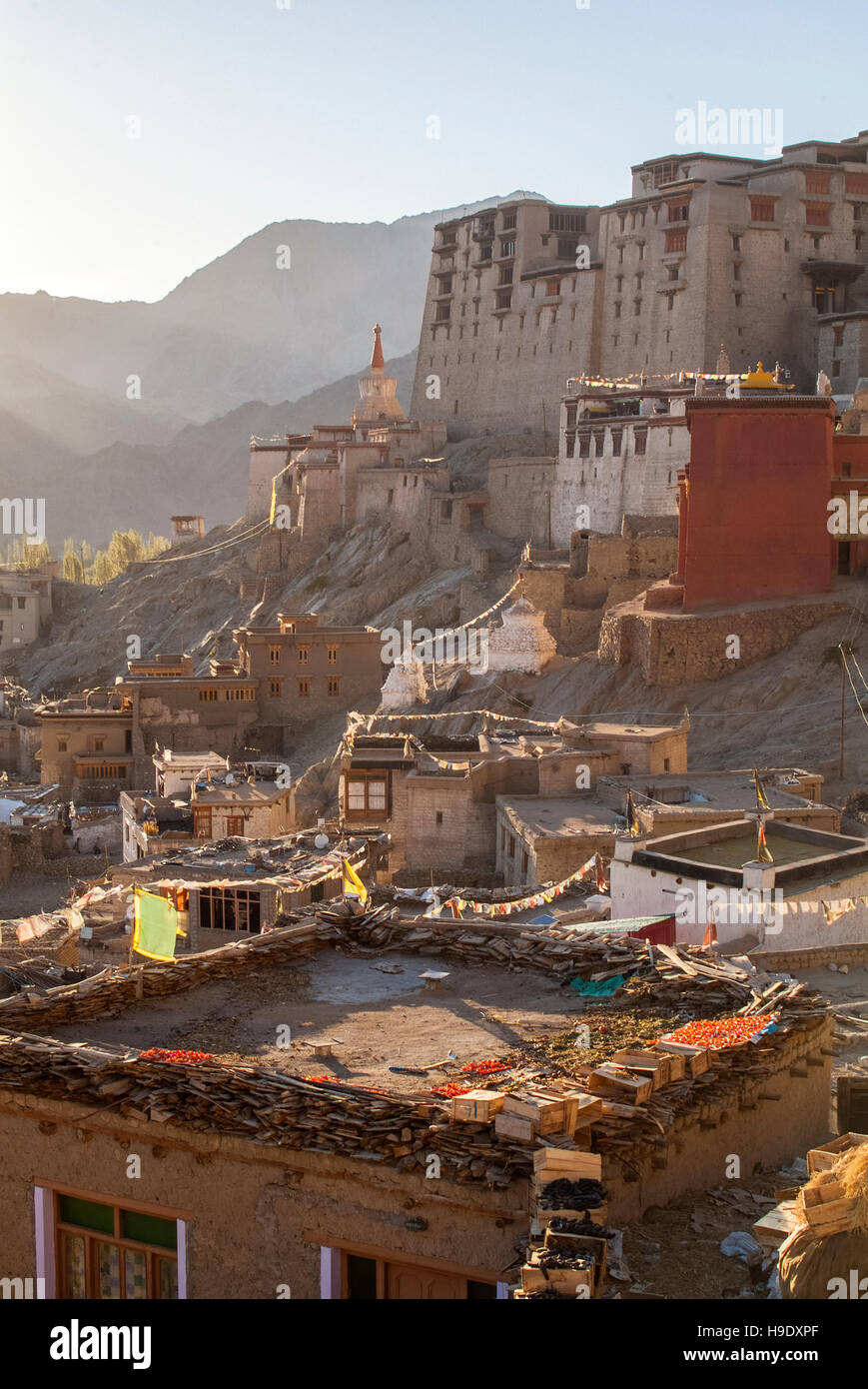 Villaggi di pietra scorrimento fino a un lato di montagna nella città vecchia di Leh, capitale del Ladakh, un ex regno tibetano. Foto Stock