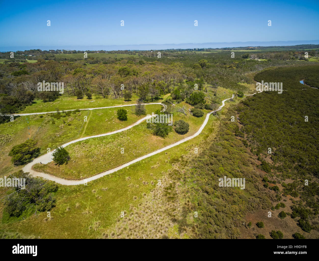 Vista aerea di mangrovie e di avvolgere il sentiero a piedi a Rhyll. Phillip Island, Victoria, Australia Foto Stock