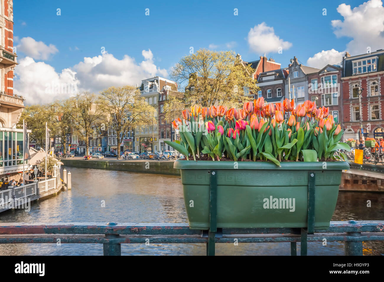 Sunny strade di grande bella città, Amsterdam, Paesi Bassi Foto Stock