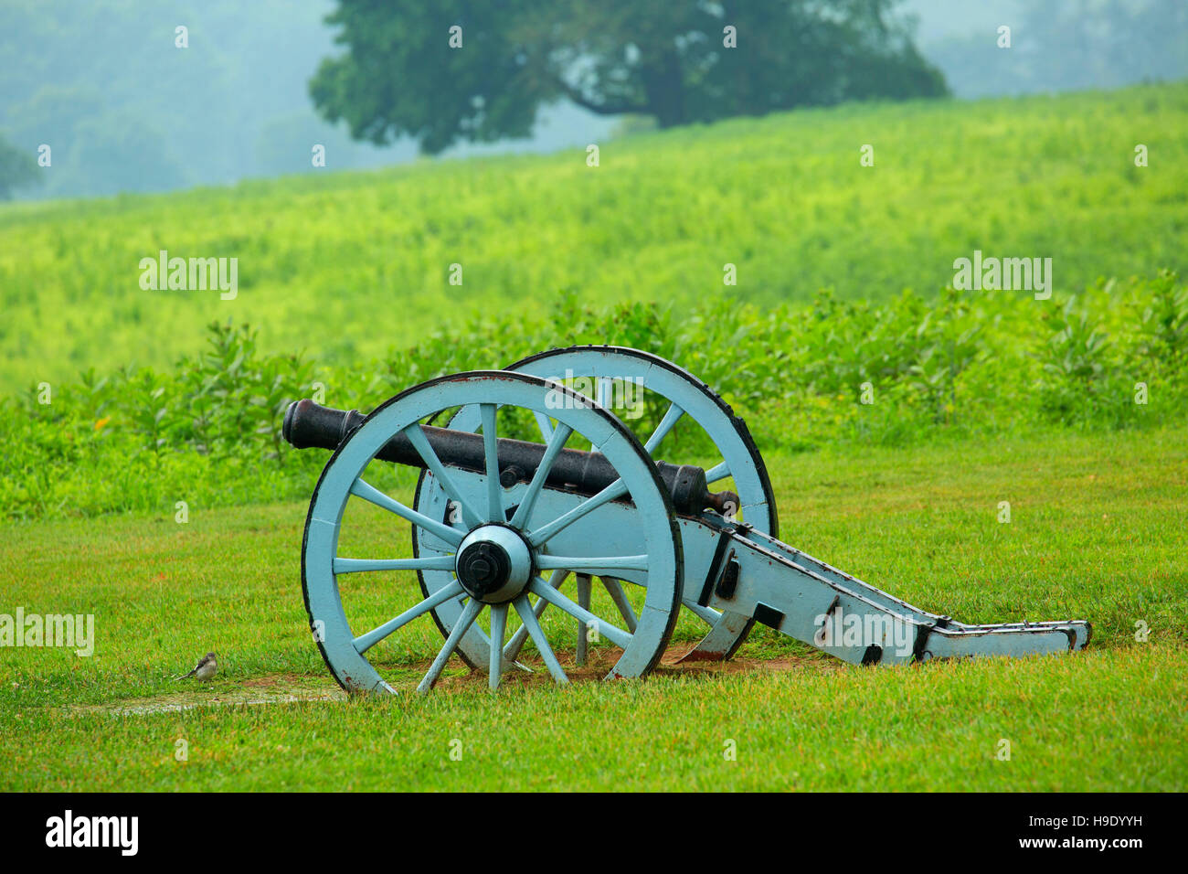 Il cannone, Valley Forge National Historical Park, Pennsylvania Foto Stock