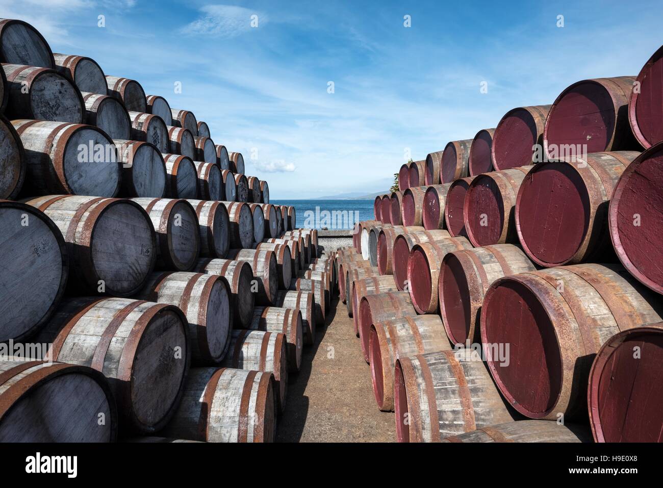 Botti di whisky, Islay, Ebridi Interne, Scotland, Regno Unito Foto Stock