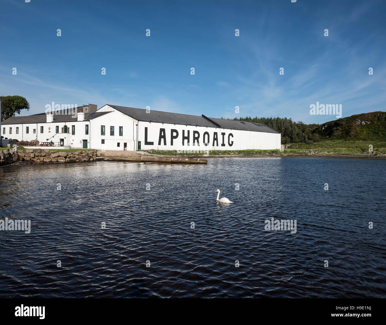 Laphroaig distilleria di whisky, magazzino, Islay, Ebridi Interne, Scotland, Regno Unito Foto Stock