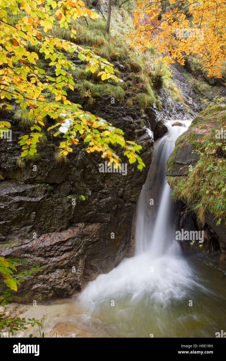 Mountain Creek nel Parco Nazionale Gesäuse, Stiria, Austria Foto Stock