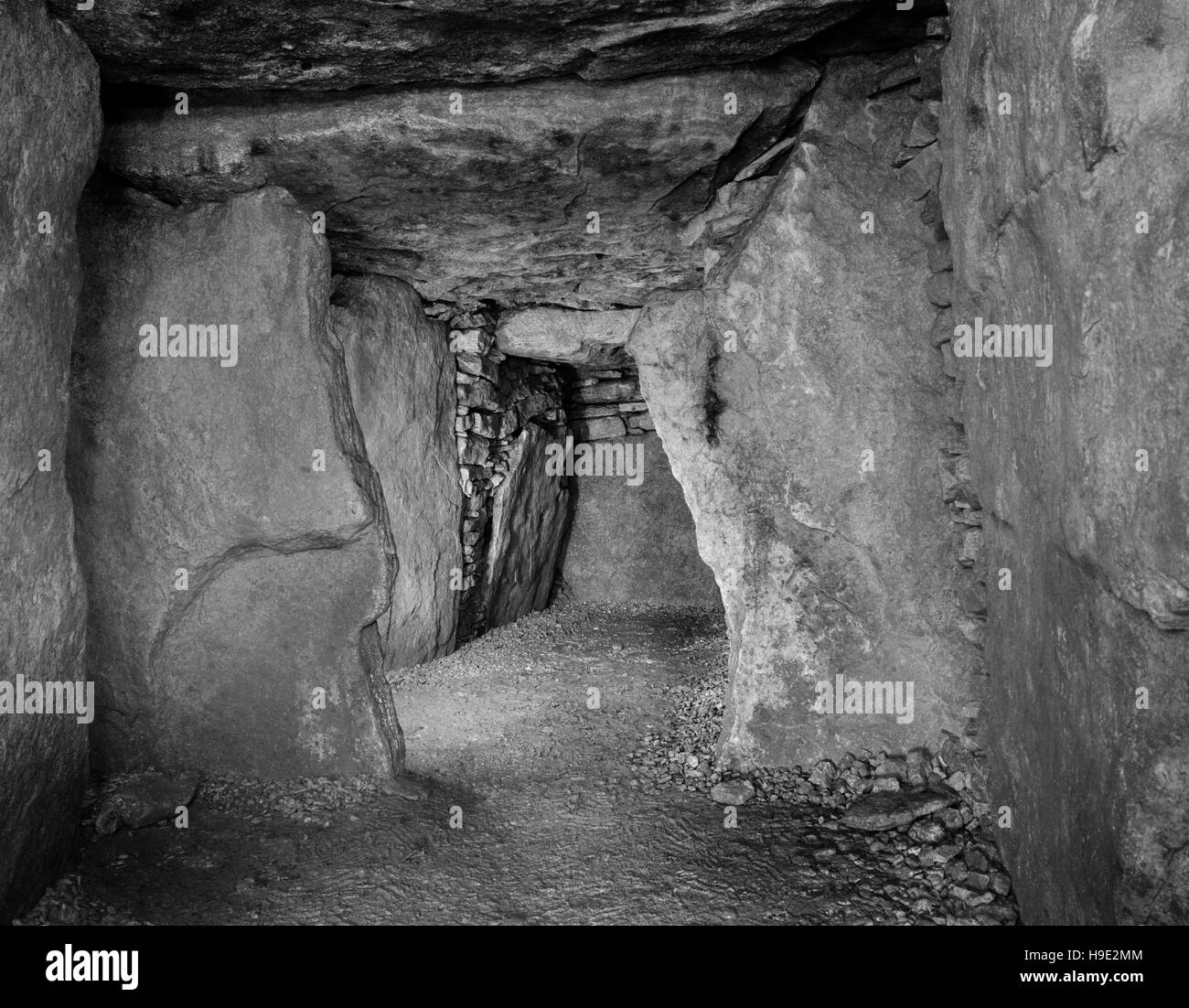 Uley Long Barrow (Hetty Pegler's Tump): vista W verso il basso galleria centrale della tomba neolitica mostra strozzare le lastre con camera terminale al di là. Foto Stock