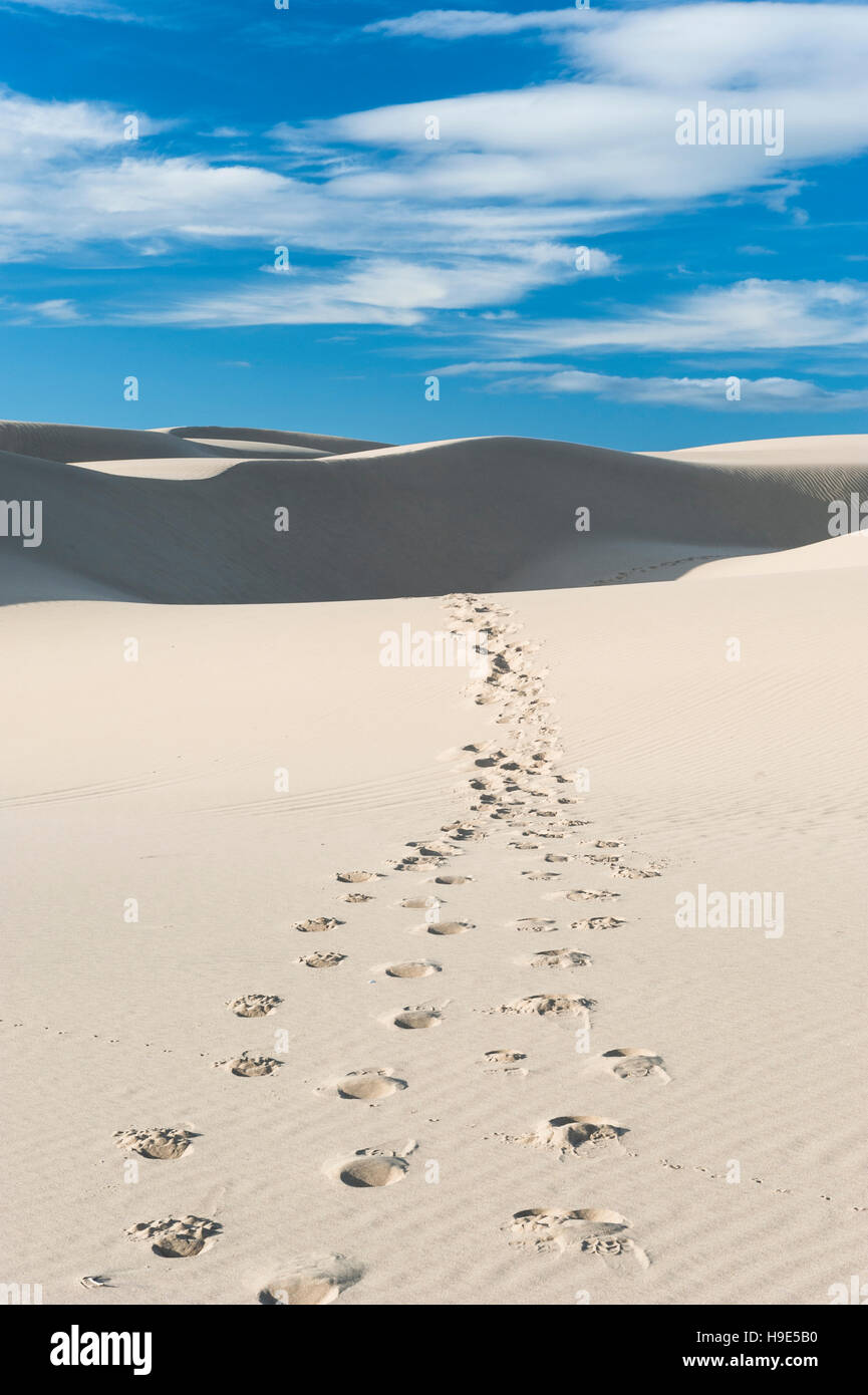 Pismo dune, California - una linea di impronte su dune di sabbia che conduce alla linea di orizzonte Foto Stock