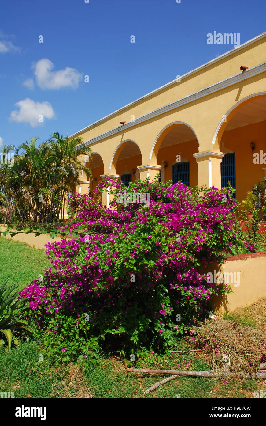 Cuba, vicino a Trinidad, Manaca Iznaga, Hacienda Foto Stock