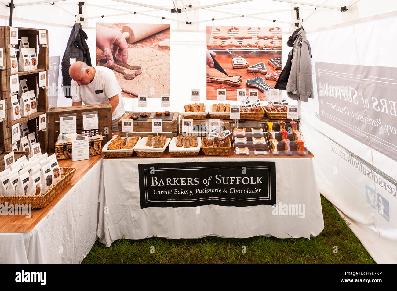 Cane tratta per la vendita in una fase di stallo presso il Royal Norfolk Visualizza nel Showground , , Norwich Norfolk , Inghilterra , Inghilterra , Regno Unito Foto Stock