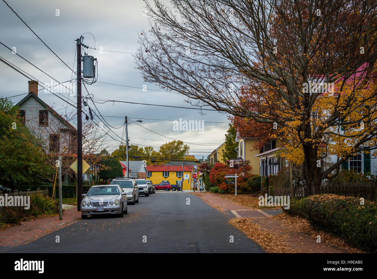 Colore di autunno lungo una strada di St Michaels, Maryland. Foto Stock