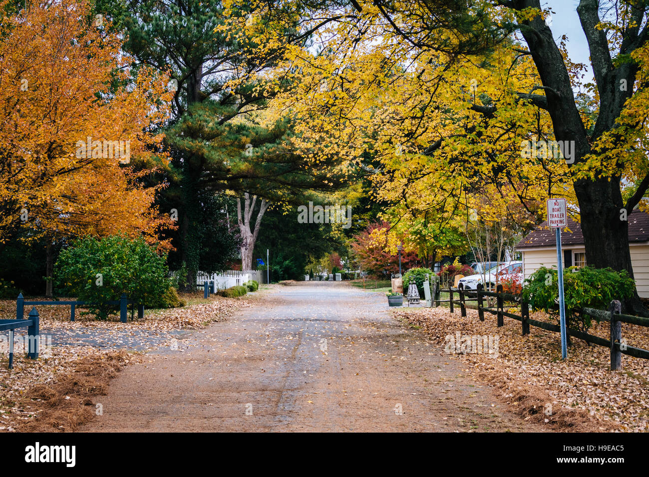Colore di autunno lungo una strada di St Michaels, Maryland. Foto Stock