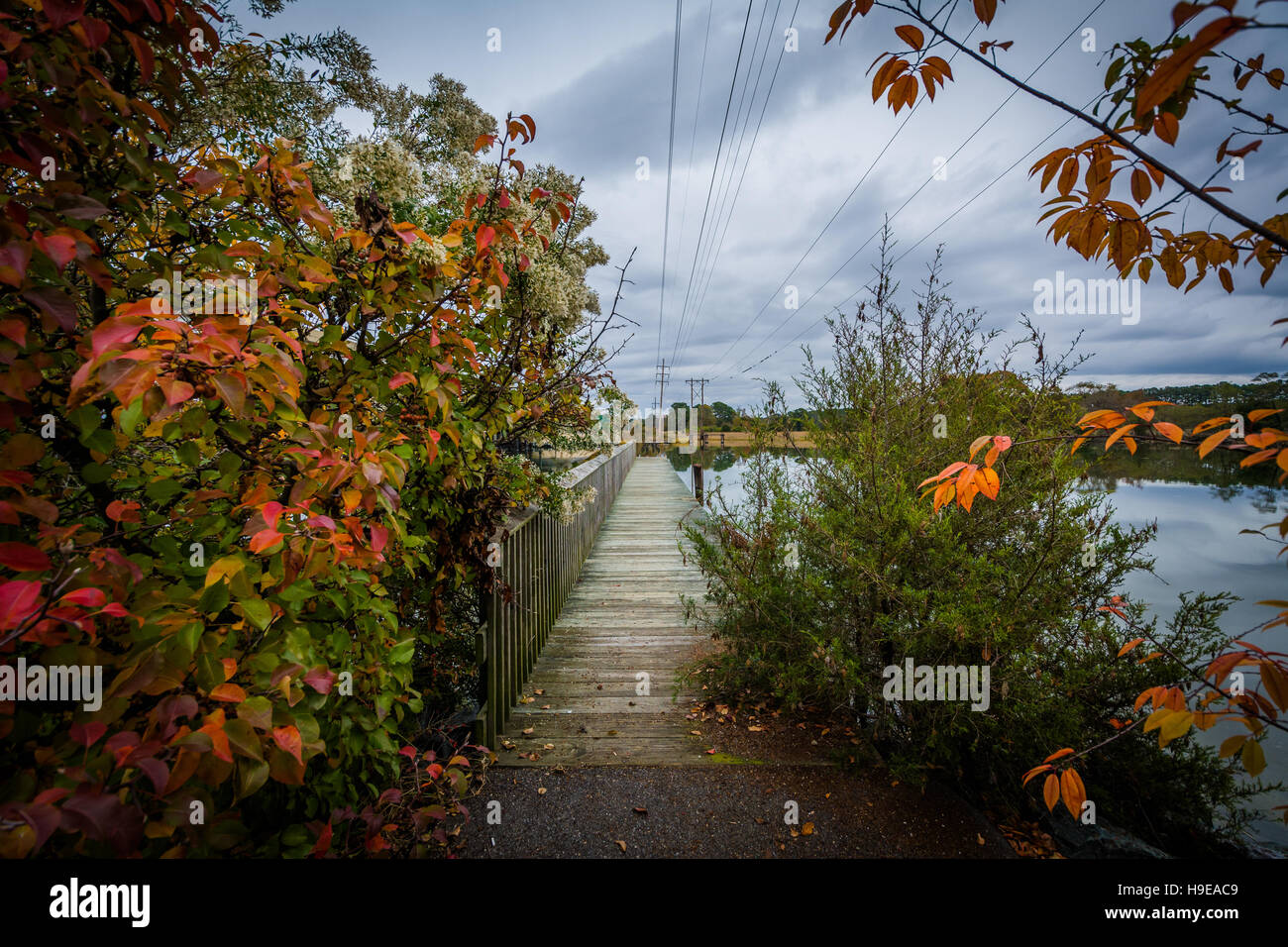 Colore di autunno e pier a Oak Creek lo sbarco in Newcomb, vicino a St. Michaels, Maryland. Foto Stock