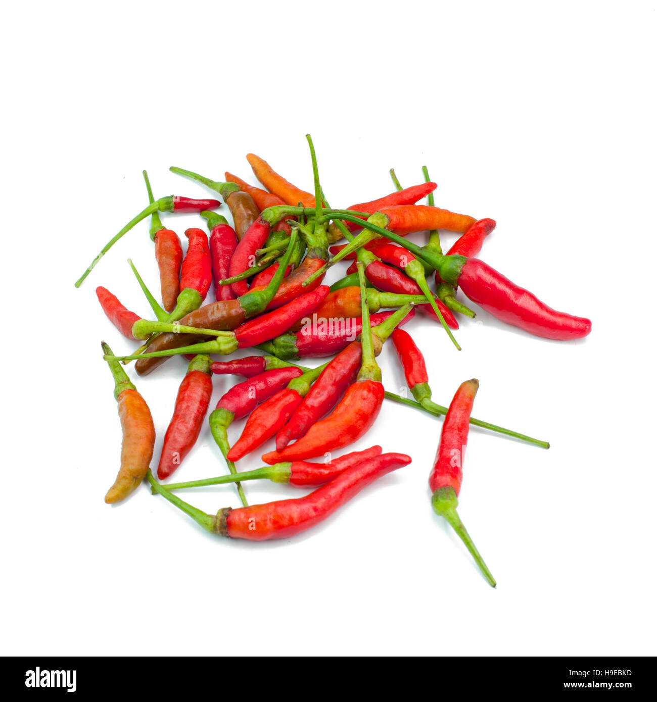 Red Hot Chili Peppers isolati su sfondo bianco Foto Stock