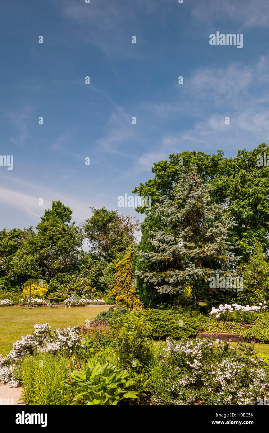 Un maturo giardino in Broome , Bungay , Suffolk , Inghilterra , Inghilterra , Regno Unito Foto Stock