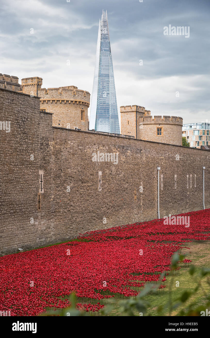 Agosto 2014 - Londra, Regno Unito: quasi 900.000 papaveri in ceramica sono installati presso la Torre di Londra per commemorare la Gran Bretagna è il coinvolgimento nella Foto Stock