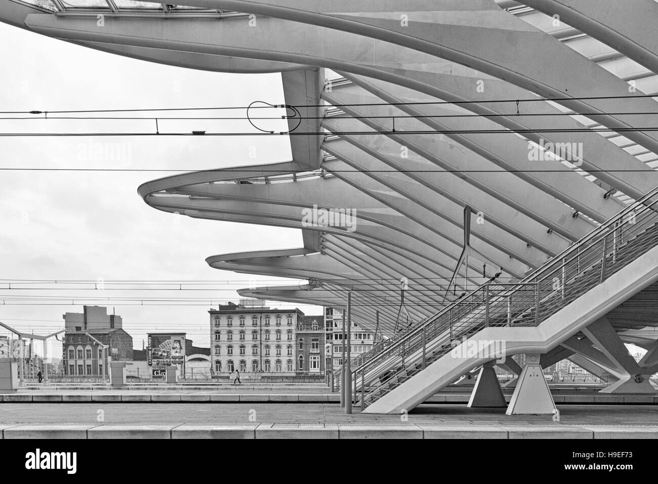 Liegi, Belgio - Dicembre 2014: dettagliate del tetto della Liege-Guillemins stazione ferroviaria, progettato da Santiago Calatrava. Fotografia in bianco e nero Foto Stock