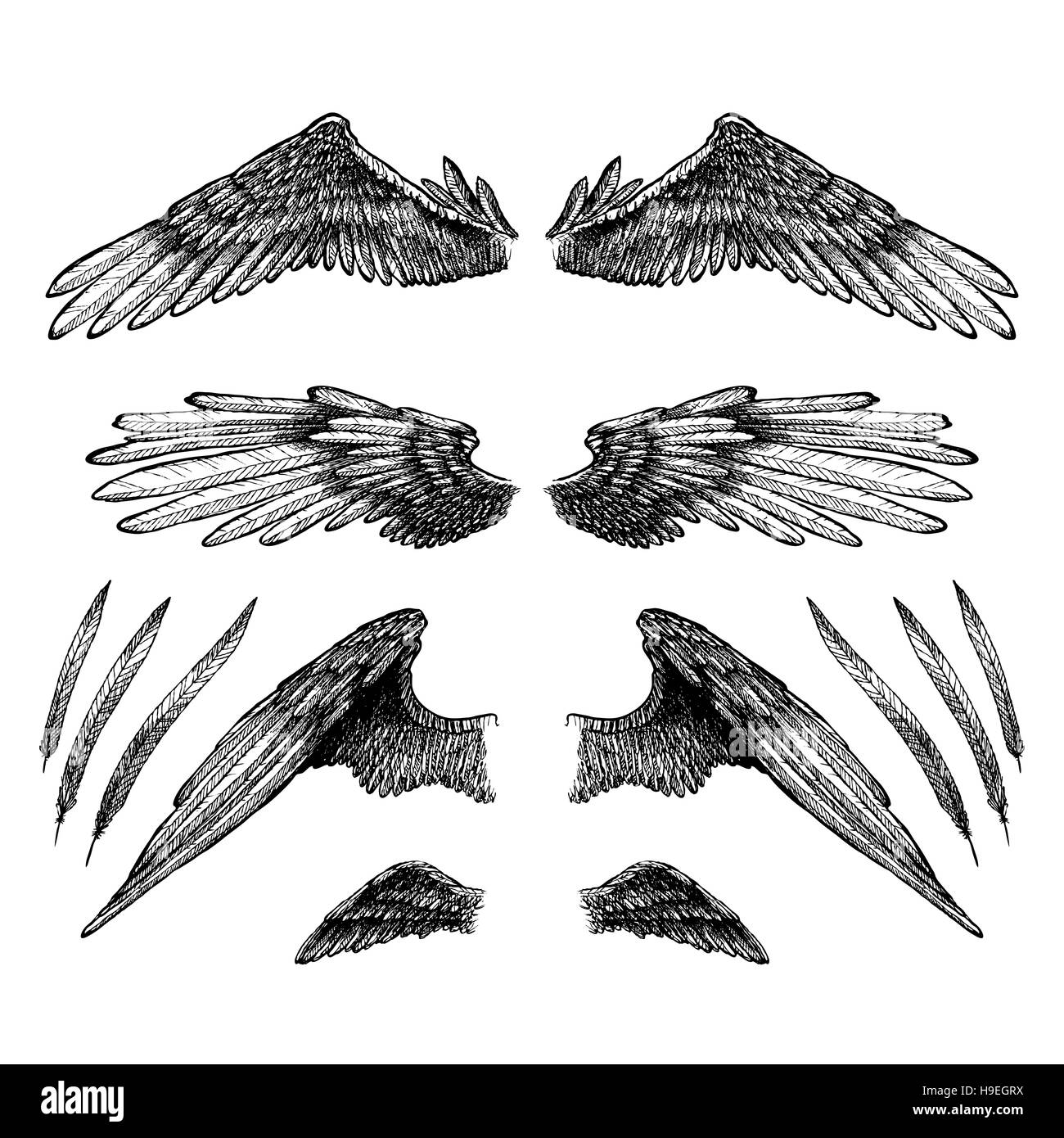 Bella Mano bozzetto di ali per il tuo design Foto Stock