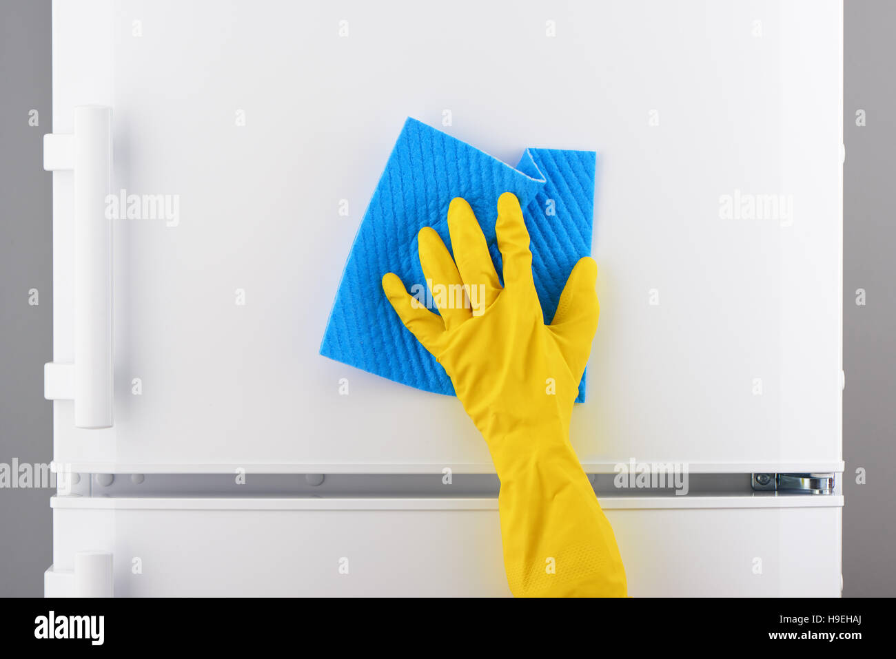 Mano di donna gomma gialla di guanto protettivo pulizia frigorifero bianco con rag di colore blu su sfondo grigio Foto Stock