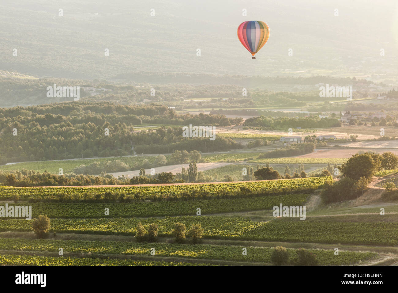 Una mongolfiera sorge sopra i vigneti della Provenza. Foto Stock