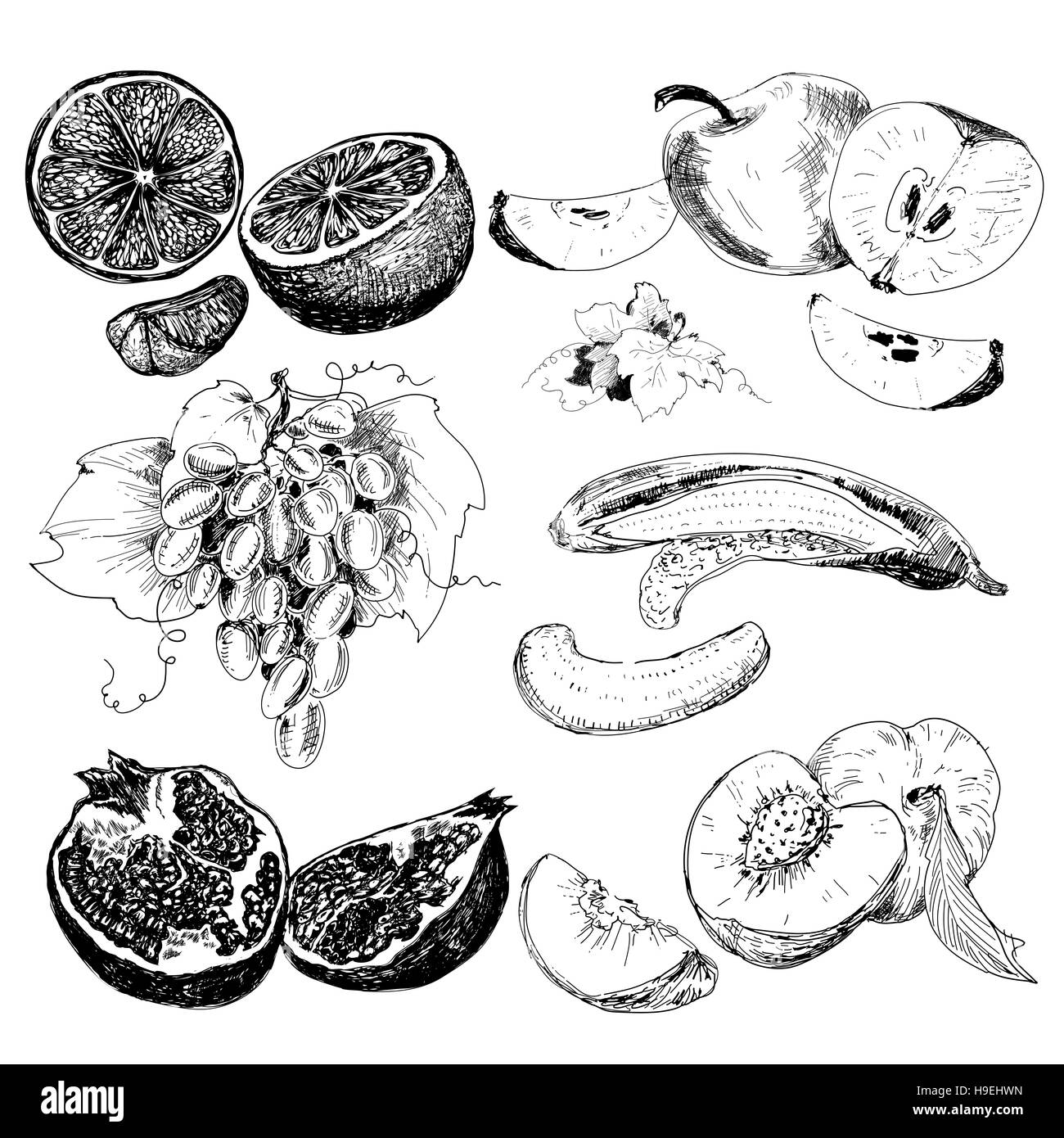 Raccolta di frutti. Set di disegnati a mano illustrazione grafica in stile sketch. Alimentare inchiostro illustrazioni con uva, banane, kiwi e altri frutti Foto Stock