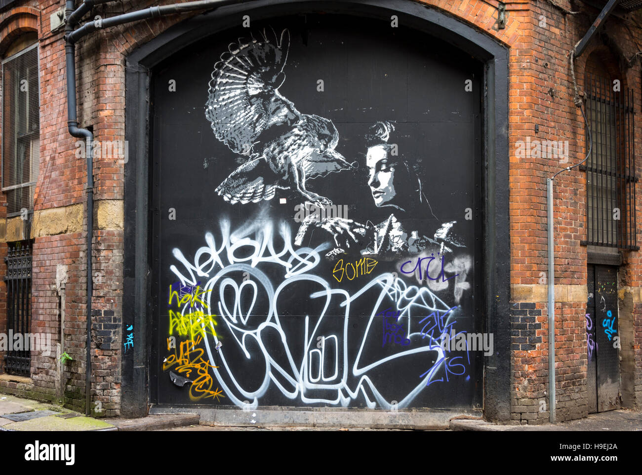 Carta murale di un giovane uomo o donna con un uccello da preda, Back Piccadilly, Northern Quarter, Manchester, Regno Unito Foto Stock