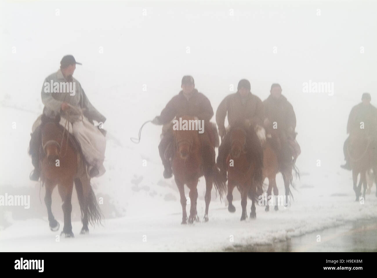 Tuvans etnici cavalcando attraverso una tempesta di neve accanto al fiume Kanas che corre attraverso montagne di Altai presso la punta settentrionale della provincia dello Xinjiang. Foto Stock