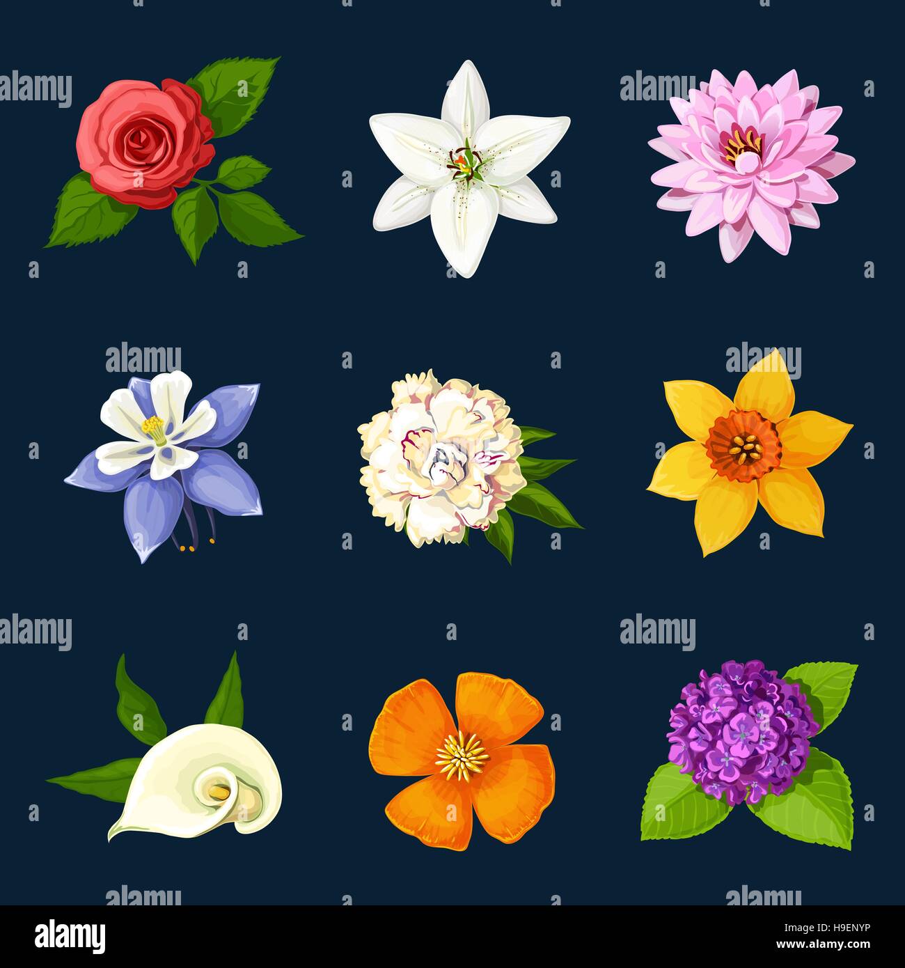 Fiori colorati e impostare Illustrazione Vettoriale