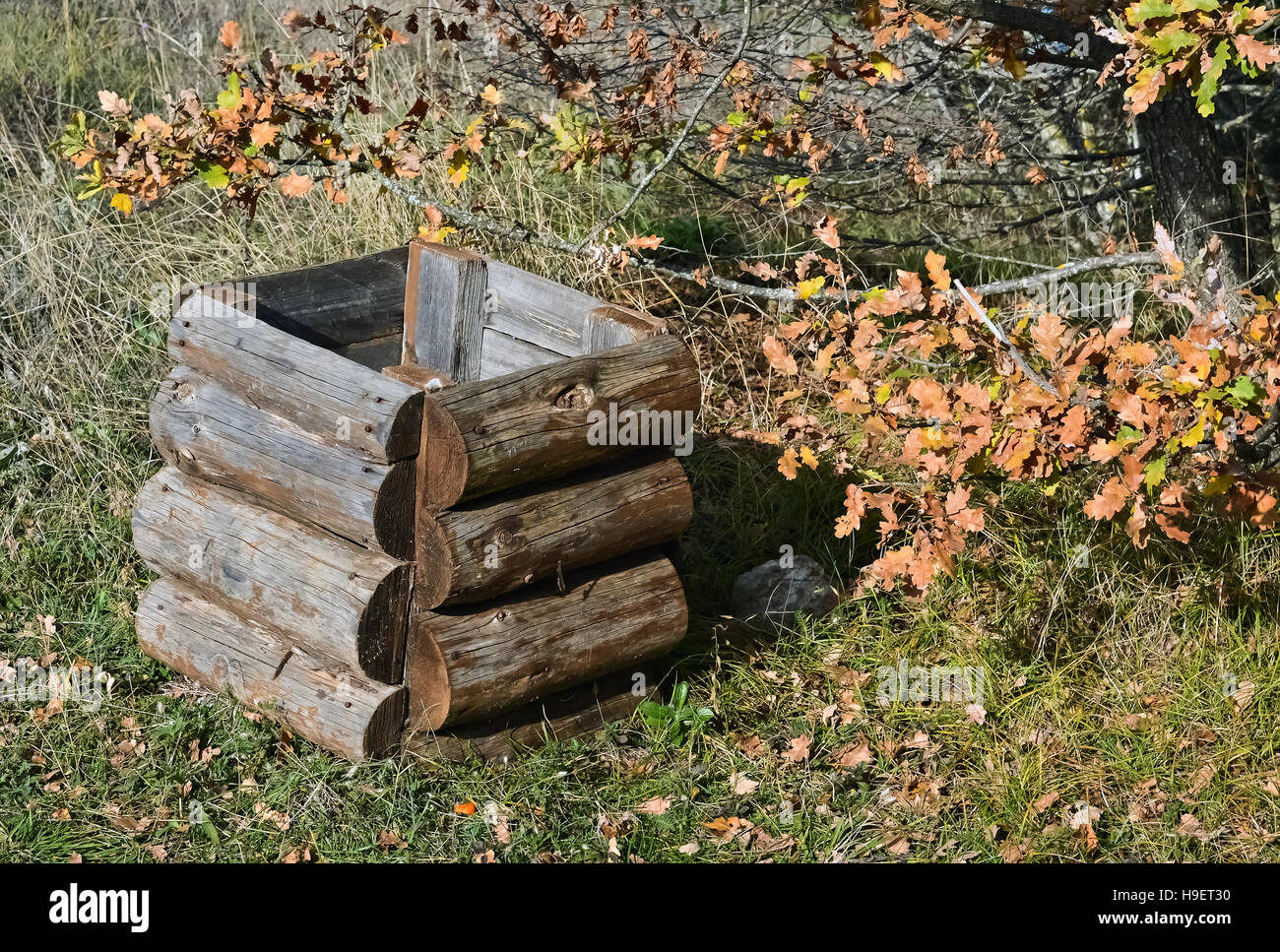 Cestino di legno cesta e asciugare le foglie d'arancio nel parco Foto Stock