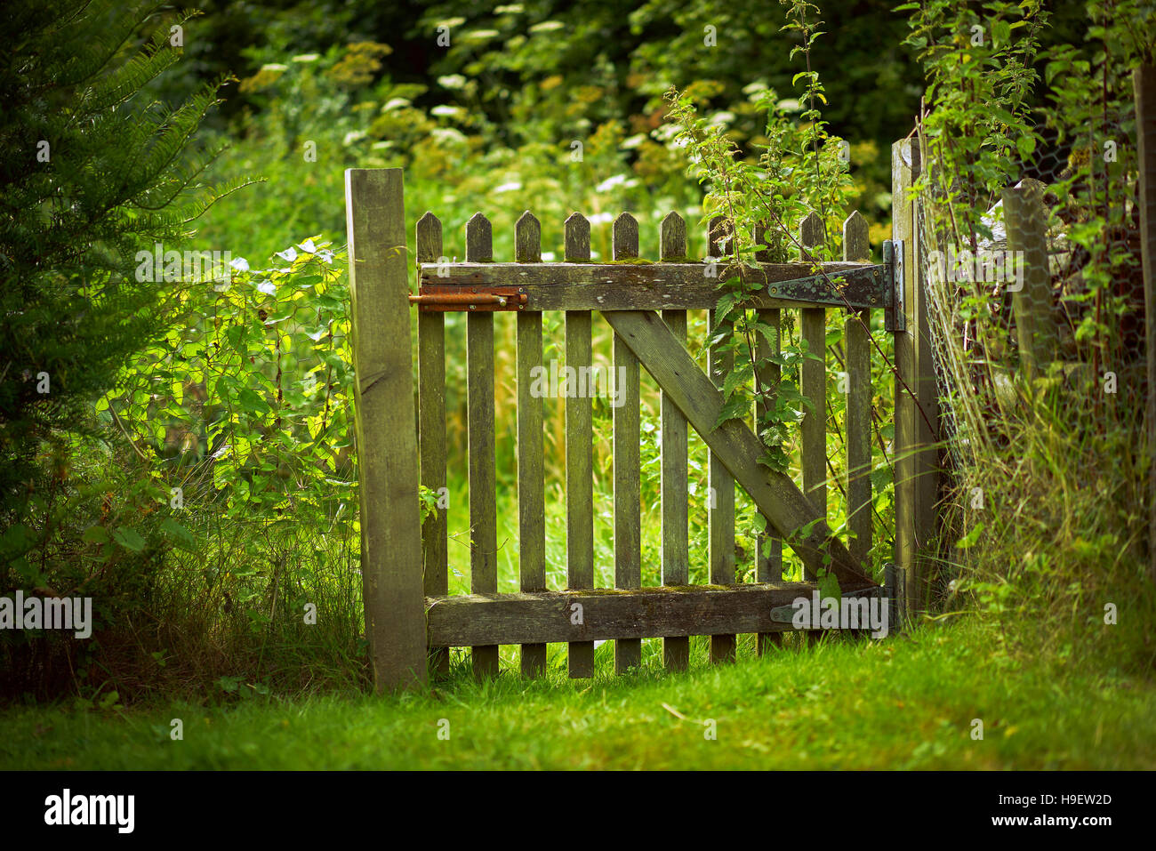 Cancello in legno campo verde Foto Stock