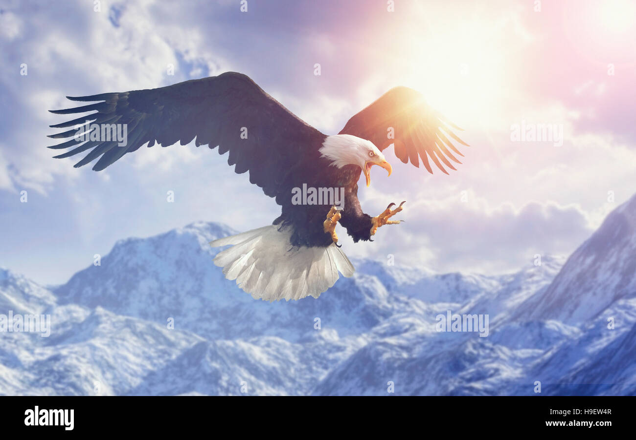 Feroce eagle volare nel cielo nuvoloso sopra la gamma della montagna in inverno Foto Stock