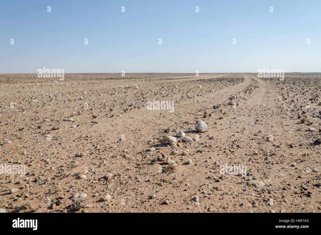 Traccia in esecuzione attraverso il piatto e roccioso deserto arido scenario in antico deserto del Namib dell Angola Foto Stock