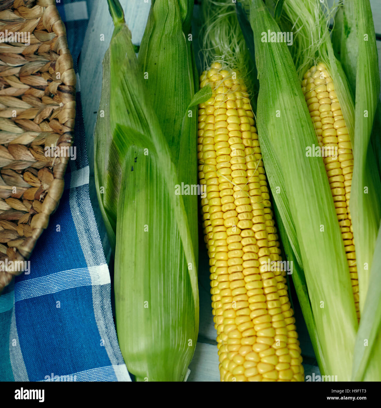 Il mais sulle pannocchie con lolla Foto Stock