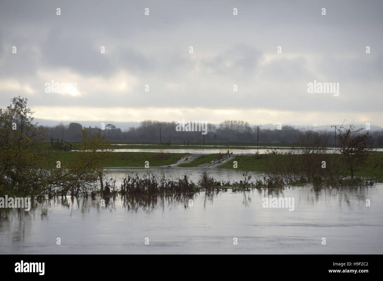 Inondazioni in Somerset livelli tra Muchelney e Langport come heavy rain, forti venti e allagamenti hanno portato disagi diffusa in tutto il paese. Foto Stock