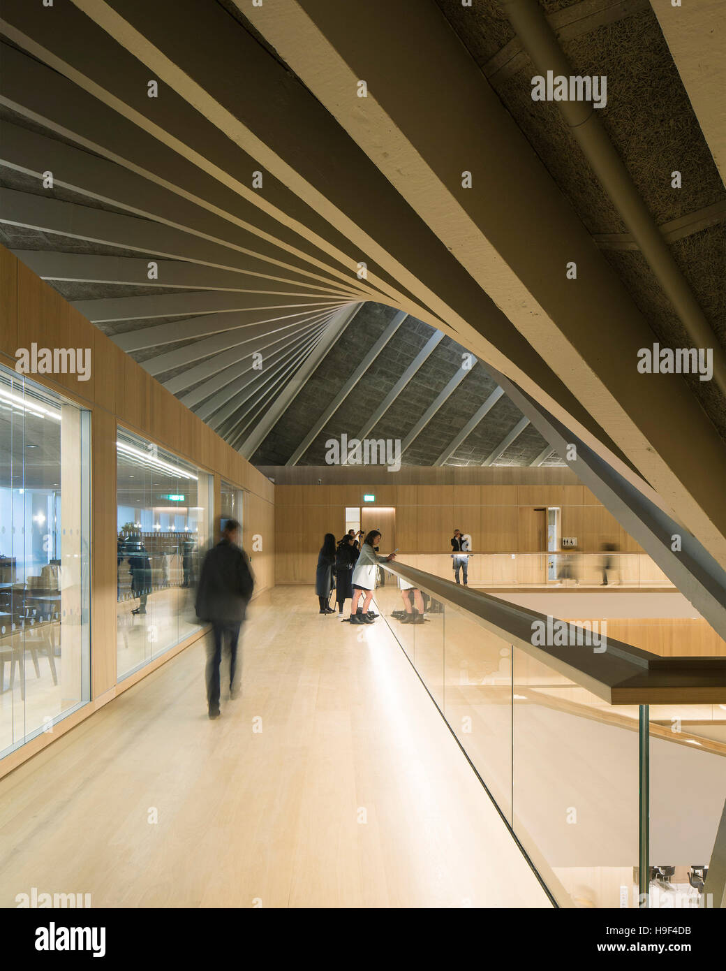 Vista interna del secondo piano marciapiede e tetto iperbolico. Design Museum di Londra, Regno Unito. Architetto: John Pawson, 2016. Foto Stock