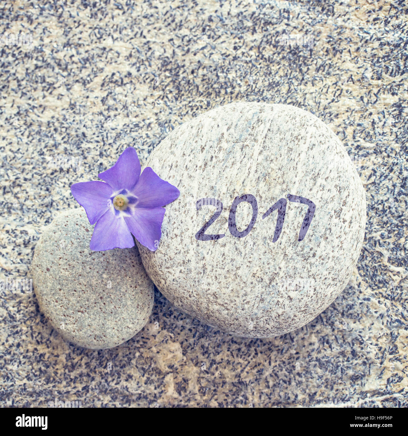 2017 scritto su una pietra con sfondo blu fiore pervinca Foto Stock