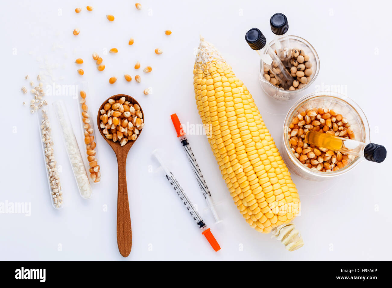 Alimenti pericolosi dal laboratorio agricolo di grani di mais e wit Foto Stock