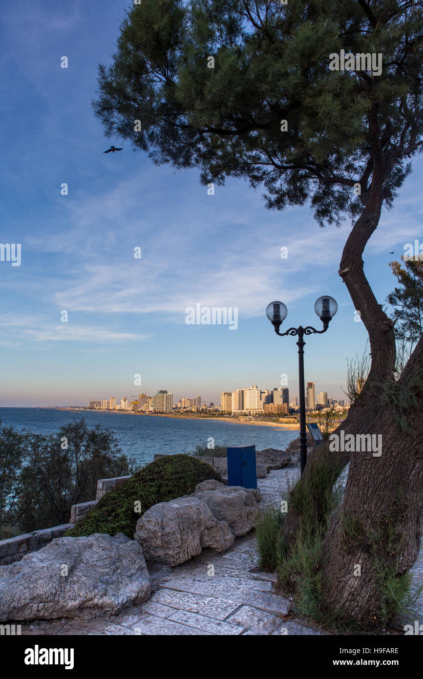 Vista di tel Aviv spiaggia dalla vecchia Jaffa incorniciato mediante una struttura ad albero Foto Stock