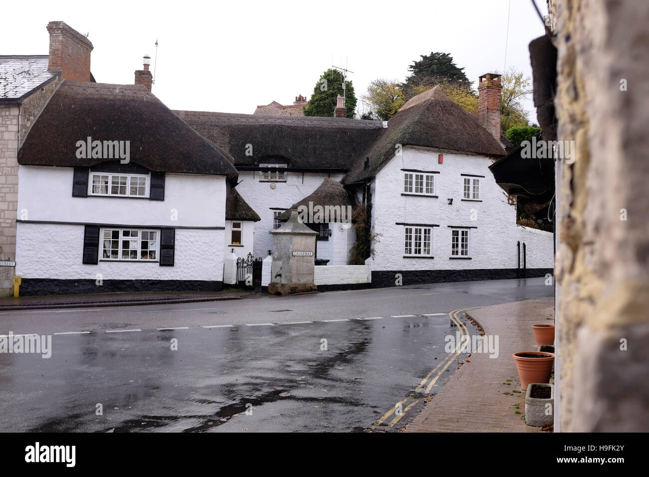 Cottage con tetto in paglia birra Devon West Country UK Foto Stock