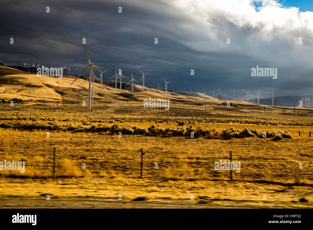 I generatori eolici in Tehachapi California USA Foto Stock