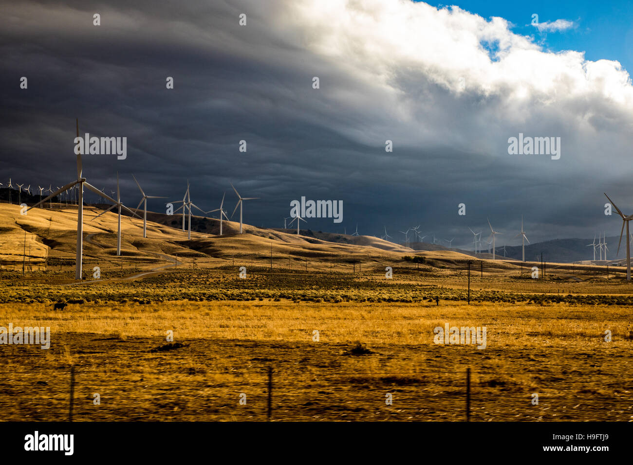 I generatori eolici in Tehachapi California USA Foto Stock