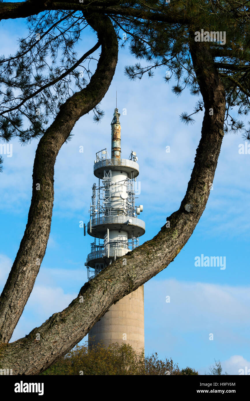 Heaton Park BT Tower. Una torre di comunicazioni a Heaton Park, Manchester, Inghilterra, Regno Unito. Foto Stock