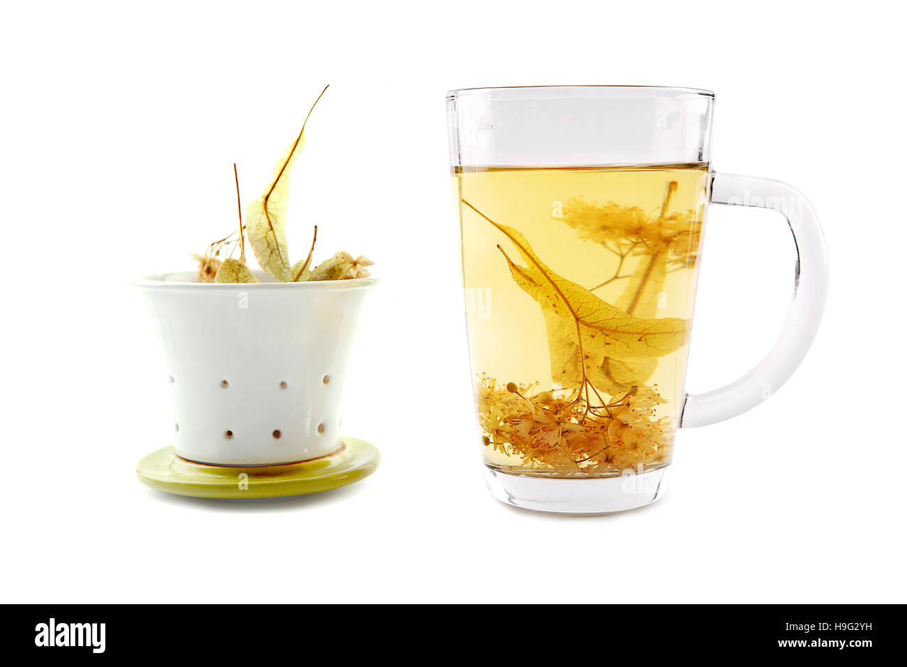 Lime tazza da tè con secchi blossom. Bicchiere di vetro di tè alle erbe linden isolato su bianco Foto Stock