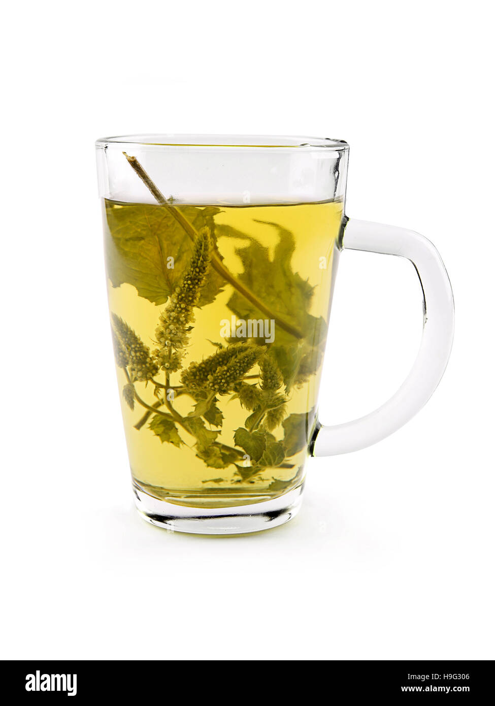 Melissa foglie secche tè in tazza di vetro sullo sfondo bianco Foto Stock