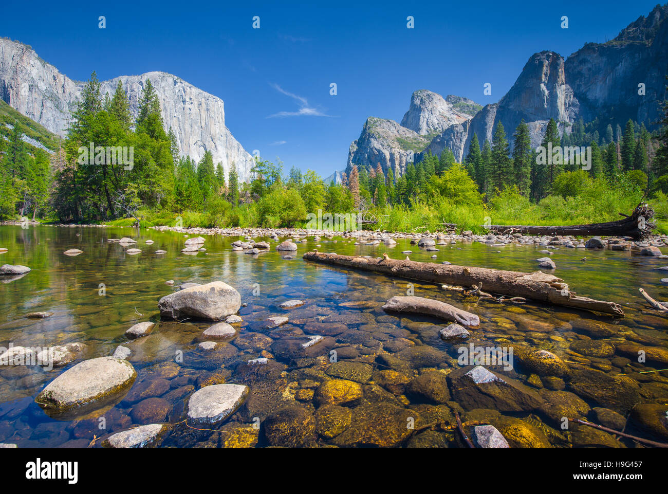 Visualizzazione classica di scenic Yosemite Valley con il famoso El Capitan arrampicata su roccia vertice e idilliaco Merced River, Yosemite National Park, California, Stati Uniti d'America Foto Stock