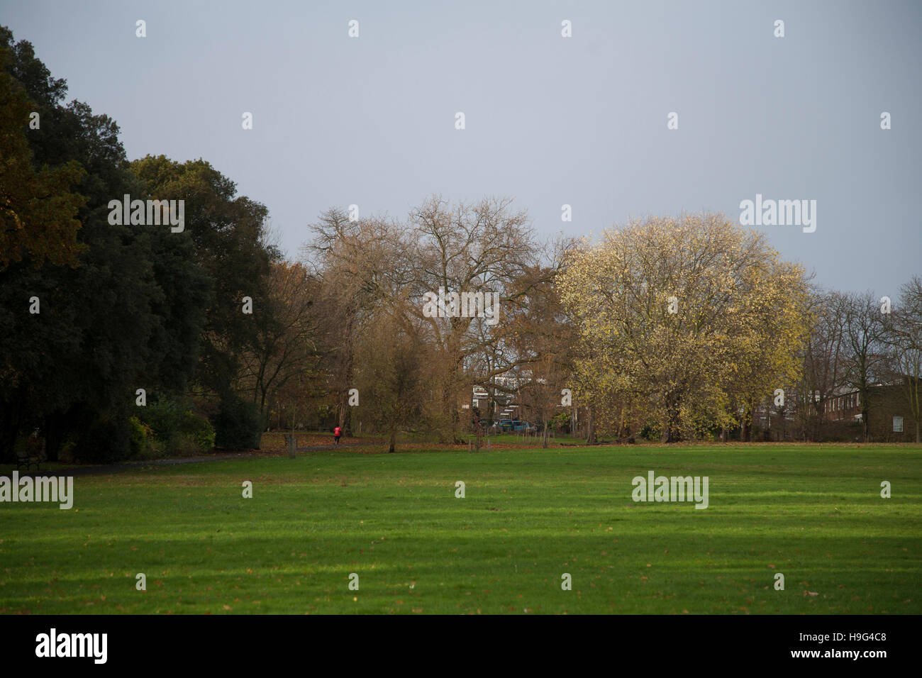 Londra Brockwell Park 22 Novembre 2016 - 08.30 Foto Stock