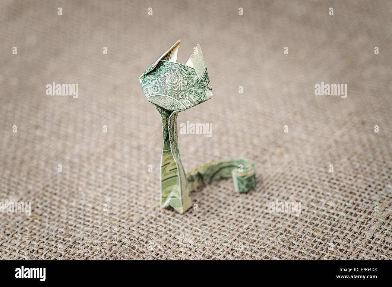 Origami dollar gatto sulla iuta rustico sfondo. Foto Stock