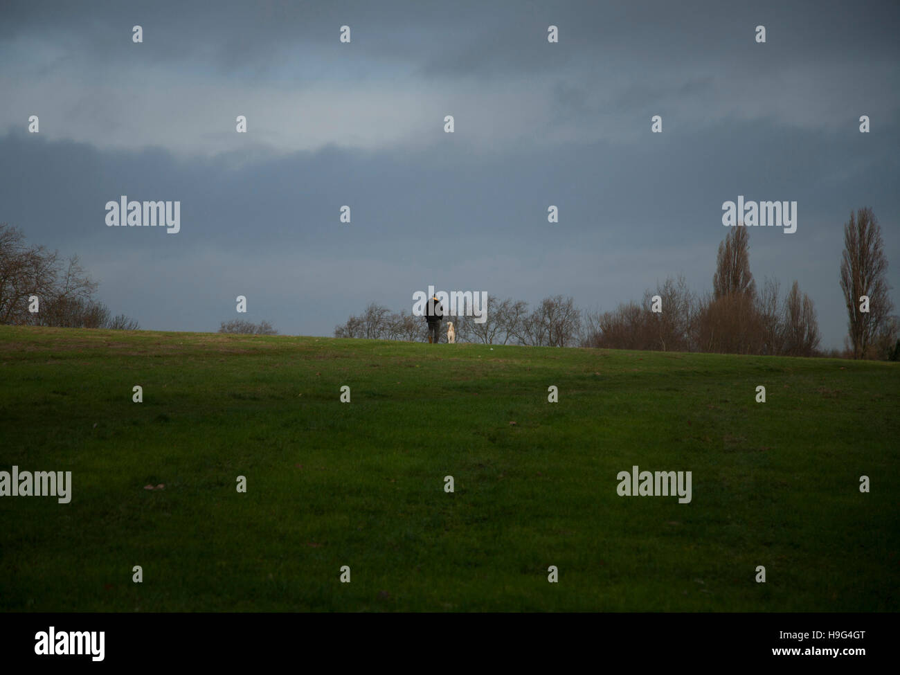 Londra Brockwell Park 22 Novembre 2016 - 08.30 Foto Stock